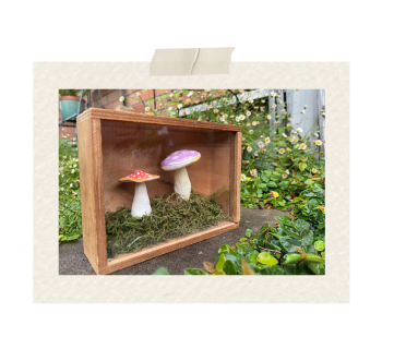 目玉焼きのイラストの画像